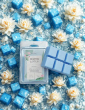 Μικρή προεπιλεγμένη φωτογραφία WATER LOTUS Wax Melts