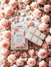 Μικρή προεπιλεγμένη φωτογραφία PRADA WAX MELTS