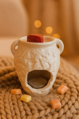 ΚΕΡΑΜΙΚΟΣ ΑΡΩΜΑΤΙΣΤΗΣ ΓΙΑ WAX MELTS ΠΙΘΑΡΙ ΛΕΥΚΟΣ ΚΕΡΑΜΙΚΟΣ ΑΡΩΜΑΤΙΣΤΗΣ ΓΙΑ WAX MELTS ΠΙΘΑΡΙ ΛΕΥΚΟΣ